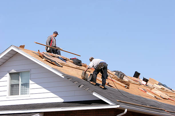 Best Roof Insulation Installation  in Williamstown, WV